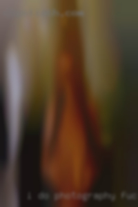 I do photography fuck as a trade from NC.