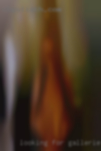 Looking for galleries NSA/fwb type nudist situation.